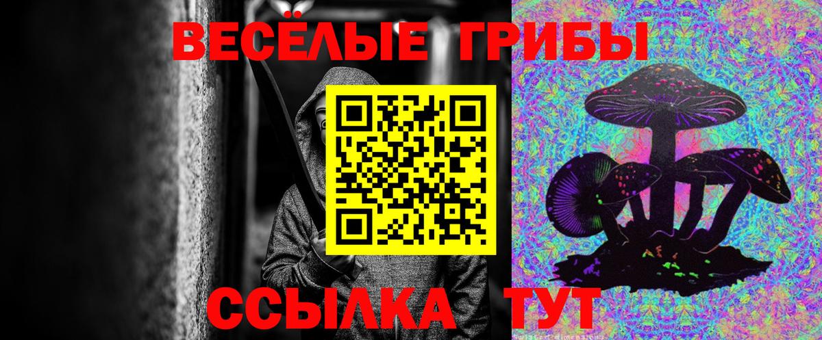 где купить наркотик  Вход с VPN  Галлюциногенные грибы GOLDEN TEACHER  Елец  Псилоцибиновые грибы ЛСД 