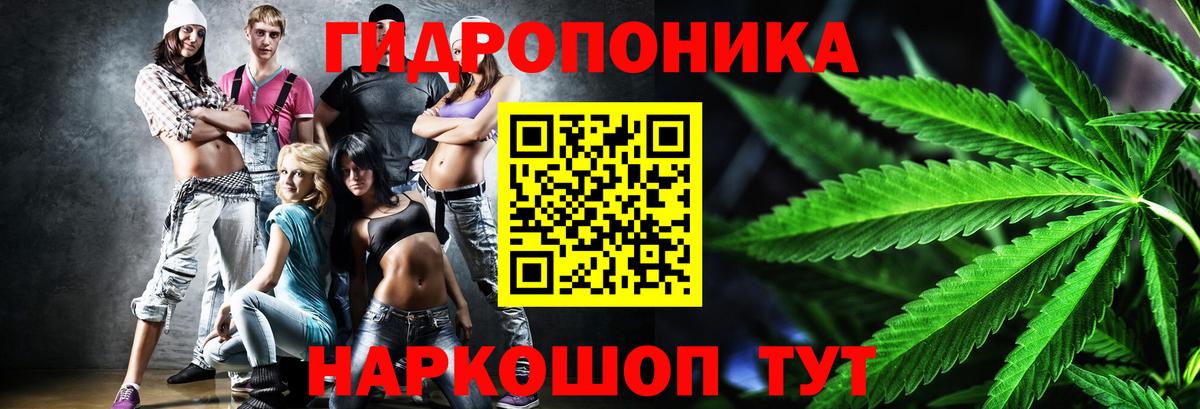 Конопля Bruce Banner Елец